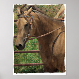 Buckskin Western Poster