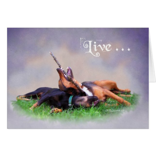 Bud & Gabby (Devant horizontal)