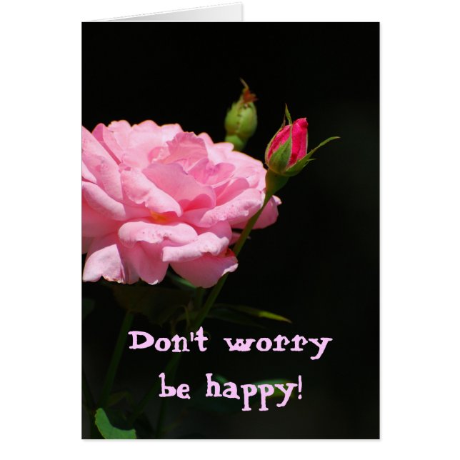 Bud of a rose, Ne vous inquiétez pas, soyez heureu (Devant)