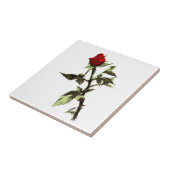 Bud van de rode roos tegeltje (Zijkant)