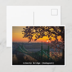 Budapest Hongarije  Liberty Bridge geschenken Briefkaart