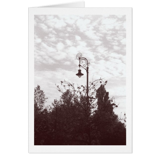 Budapest Streetlight (Voorkant)