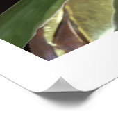 Buddha Bamboo Poster (Hoek)