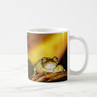 Buddha Frog Koffiemok