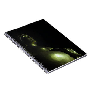 Buddha Nacht Notitieboek