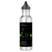 Buddha Quote 3 waterflessen Waterfles (Links)