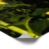 Buddha Quote Poster (Hoek)