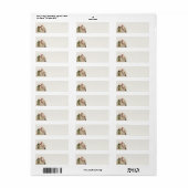 Buddhist Monk Return Address Label (Full Sheet)