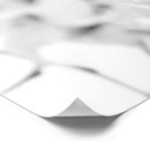 Buddhist Temple  Lamp Post Grace Dignity B&W Poster (Hoek)