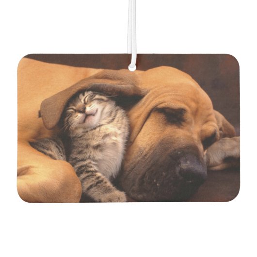 Buddies Air Freshener Luchtverfrisser (Voorkant)