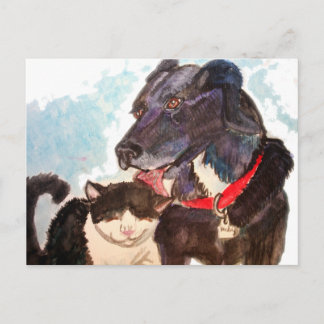 Buddies Briefkaart