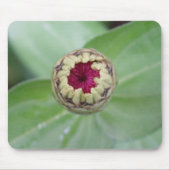 Budding Zinnia Muismat (Voorkant)