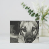 Buddy Briefkaart (Staand voorkant)