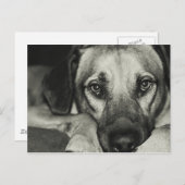 Buddy Briefkaart (Voorkant / Achterkant)