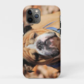 Buddy Bulldog Case-Mate iPhone Case (Achterkant)