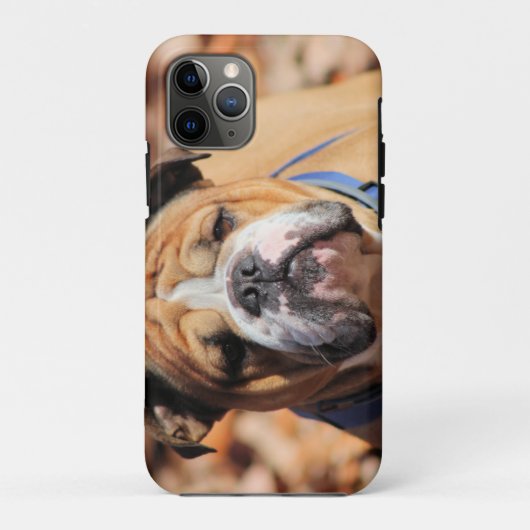 Buddy Bulldog Case-Mate iPhone Case (Achterkant)