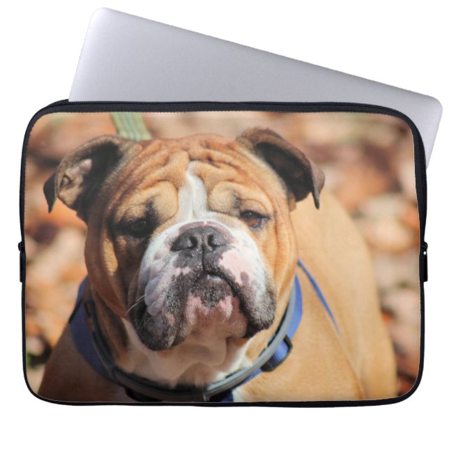 Buddy Bulldog Laptop Sleeve (Voorkant)