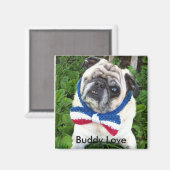 Buddy Love's Magneet (Voorkant / Achterkant)