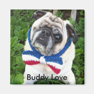 Buddy Love's Magneet