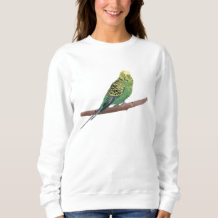Budgerigar Parrot  Trui