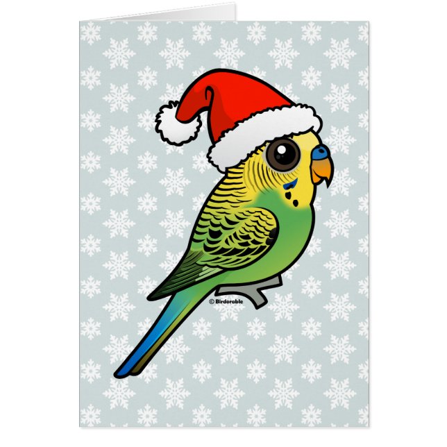 Budgerigar Santa Claus (Voorkant)