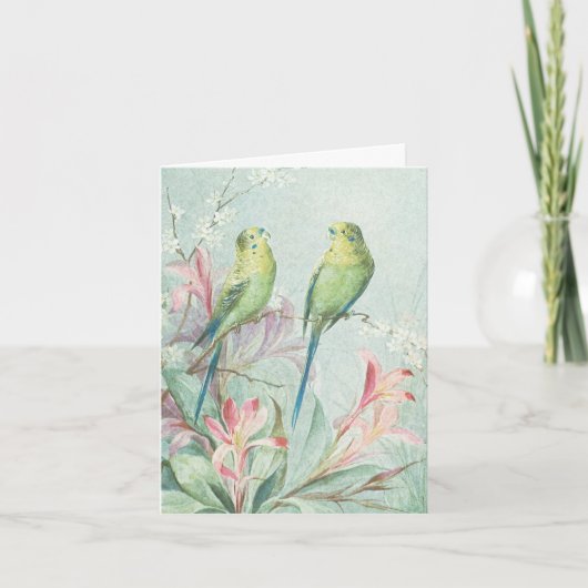Budgerigars Vogeltak Bloemen Bedankt (Voorkant)