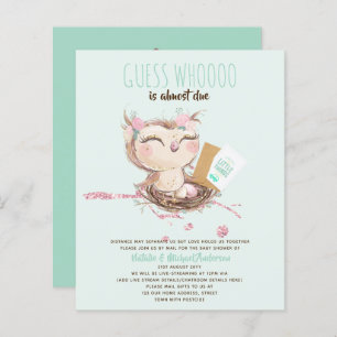 BUDGET Baby shower Drive by Mail Owl Cute Invute