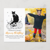 Budget Black Cat Halloween Pumpkin (Voorkant)