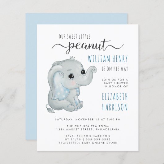 Budget Blue Elephant Waterverf Baby Boy Shower (Voorkant / Achterkant)