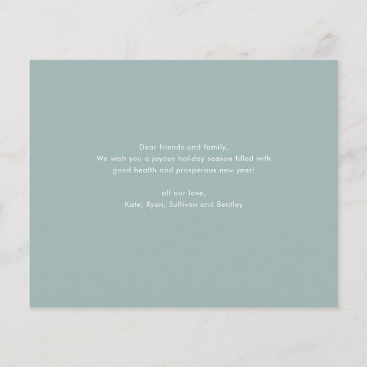 Budget Bold Type Photo Noël Carte (Dos)