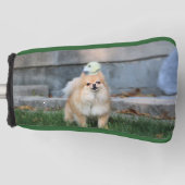 Budget Cerberus Golfheadcover (Voorkant)