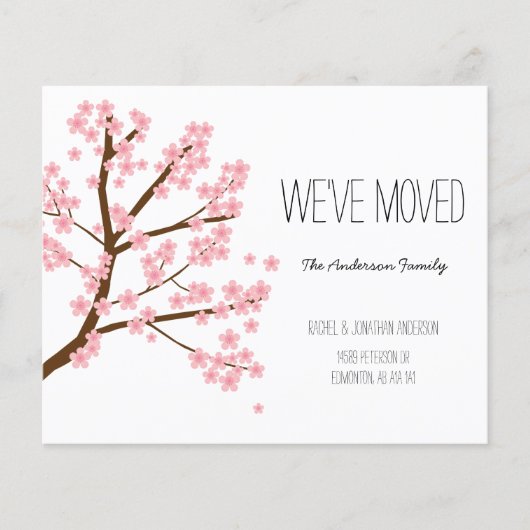 Budget Cherry Blossom Sakura Tree We hebben verhui (Voorkant)