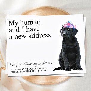 Budget Cute Black Labrador Dog Moving Announge