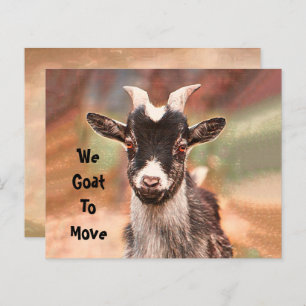 Budget Cute Goat Bewegend Nieuw Adres