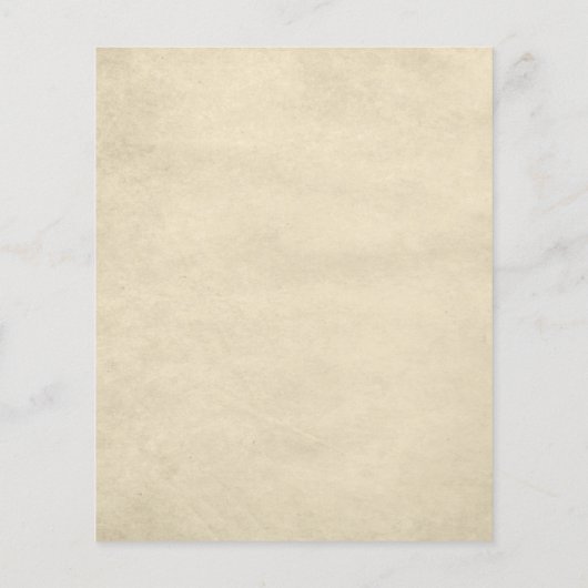 BUDGET  Dark Alice in Wonderland Bruiloft (Achterkant)