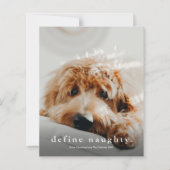 Budget Define Naughty Funny Pet Kerstmis Kaart (Voorkant)