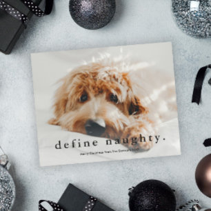 Budget Define Naughty Funny Pet Kerstmis Kaart