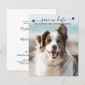 Budget Dog Wedding Pet Foto bewaart datumkaarten (Voorkant / Achterkant)