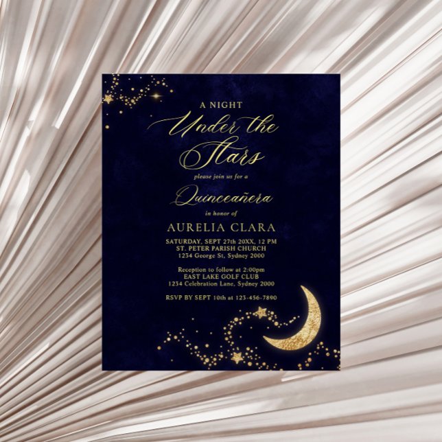 BUDGET Elegant A Night Under the Stars Quinceañera (Creator heeft geüpload)