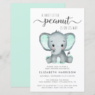 Budget Elephant Mint Baby shower Uitnodiging