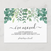 Budget Eucalyptus Ik heb Beweging Aankondiging Kaa (Voorkant)