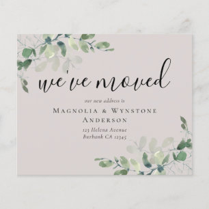 BUDGET Eucalyptus We hebben Kaart verplaatst