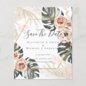 BUDGET Foto bewaardata PAMPAS Coral Tropical (Voorkant)