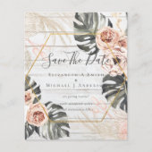 BUDGET Foto bewaardata PAMPAS Coral Tropical (Voorkant)