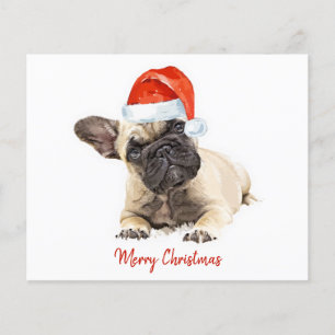 Budget French Bulldog Puppy Kerstmis Cute Dog