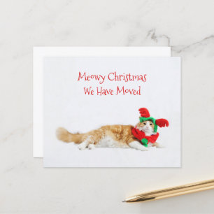 Budget Funny Cat Kerstmis Bewegend Nieuw Adres