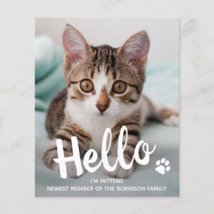 Budget Hallo New Pet Photo Kitten Cat Aankondiging