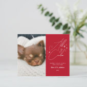 Budget handgeschreven alles is rustig huisdier fot (Staand voorkant)