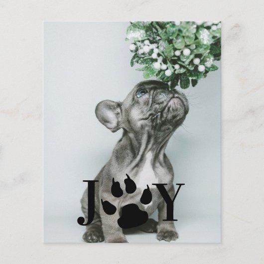 BUDGET Joy Dog Paw-fotokaart voor kerstmis (Voorkant)