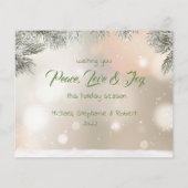 Budget kerstboomvakantiekaartje (Achterkant)